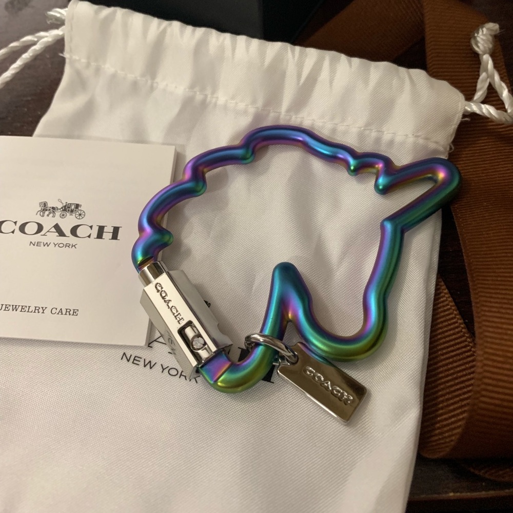 Uni carabiner COACH